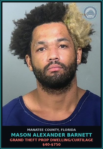CCW arrest card for MASON ALEXANDER BARNETT in Manatee County: GRAND THEFT PROP DWELLING/CURTILAGE $40-$750