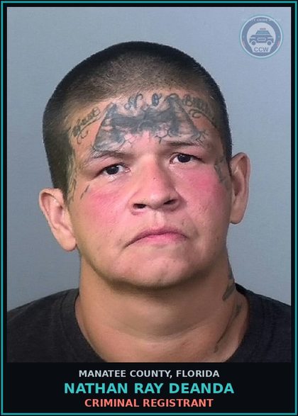 CCW arrest card for NATHAN RAY DEANDA in Manatee County: CRIMINAL REGISTRANT