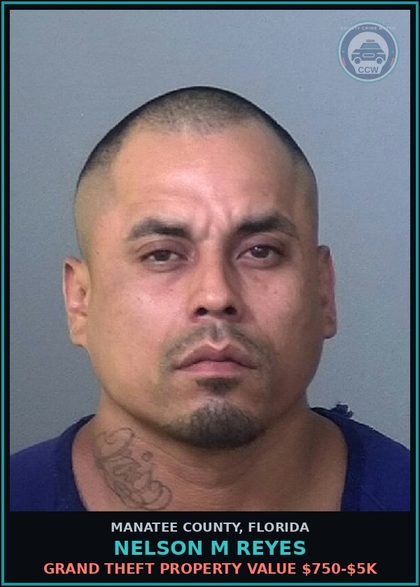 CCW arrest card for NELSON M REYES in Manatee County: GRAND THEFT PROPERTY VALUE $750-$5K