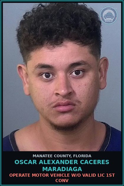 CCW arrest card for OSCAR ALEXANDER CACERES MARADIAGA in Manatee County: OPERATE MOTOR VEHICLE W/O VALID LIC 1ST CONV