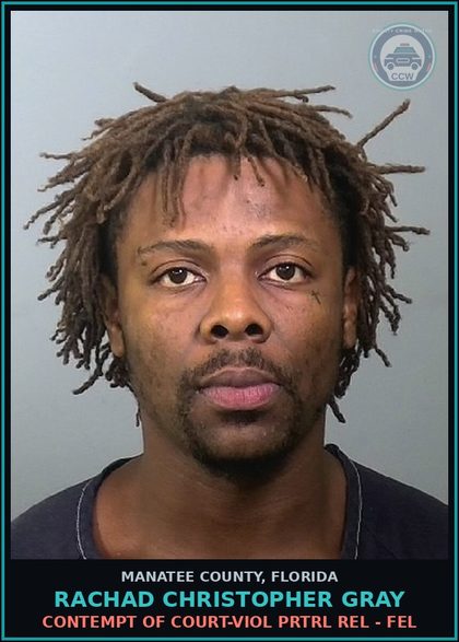 CCW arrest card for RACHAD CHRISTOPHER GRAY in Manatee County: CONTEMPT OF COURT-VIOL PRTRL REL - FEL