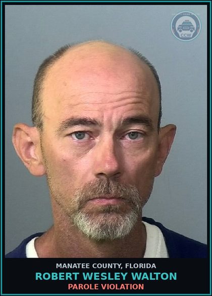CCW arrest card for ROBERT WESLEY WALTON in Manatee County: PAROLE VIOLATION