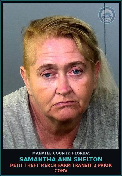 CCW arrest card for SAMANTHA ANN SHELTON in Manatee County: CRIMINAL REGISTRANT