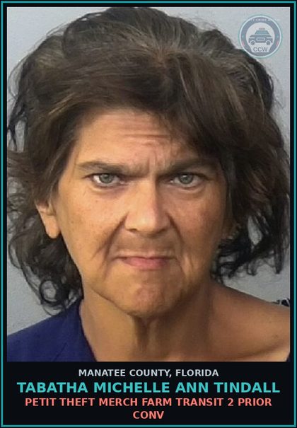 CCW arrest card for TABATHA MICHELLE ANN TINDALL in Manatee County: CONTEMPT OF COURT-VIOL PRTRL REL - FEL