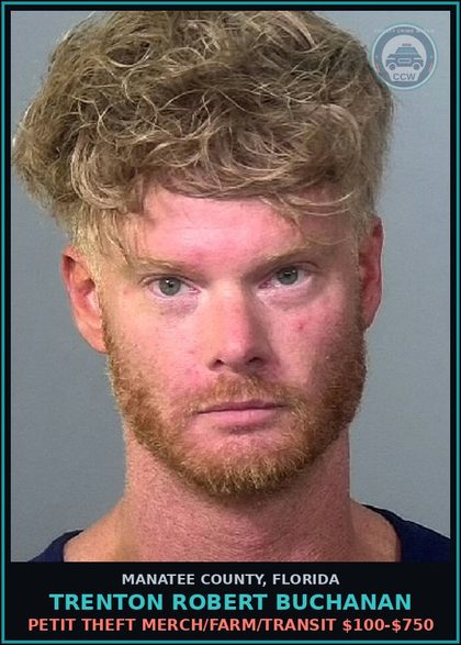 CCW arrest card for TRENTON ROBERT BUCHANAN in Manatee County: POSSESS contr substance W/O PRESCRIPTION