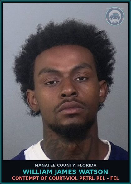CCW arrest card for WILLIAM JAMES WATSON in Manatee County: CONTEMPT OF COURT-VIOL PRTRL REL - FEL