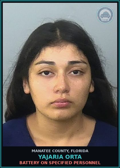 CCW arrest card for YAJARIA ORTA in Manatee County: CONTEMPT OF COURT-VIOL PRTRL REL - FEL