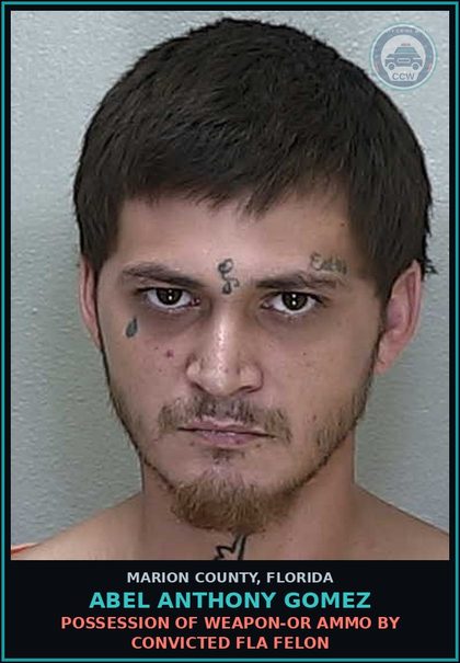 CCW arrest card for ABEL ANTHONY GOMEZ in Marion County: POSSESSION OF WEAPON-OR AMMO BY CONVICTED FLA FELON