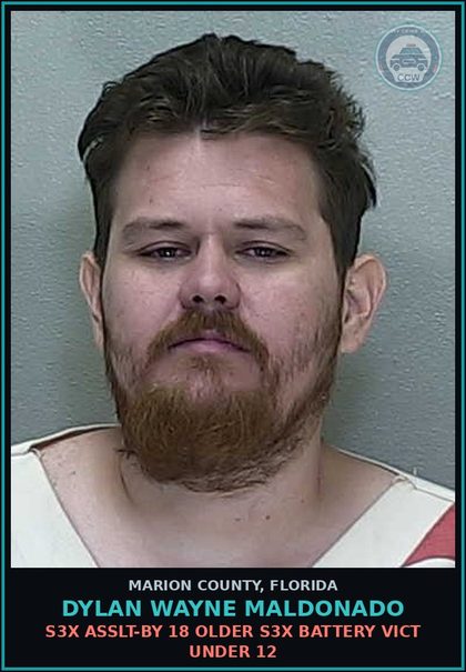 CCW arrest card for DYLAN WAYNE MALDONADO in Marion County: LEWD LASCV BEHAVIOR-MOLEST VIC LESS 12 OFFENDER 18 OR OLDER
