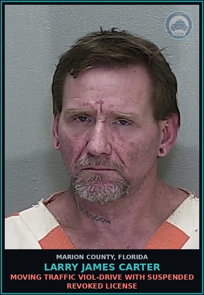 CCW arrest card for LARRY JAMES CARTER in Marion County: MOVING TRAFFIC VIOL-DRIVE WITH SUSPENDED REVOKED LICENSE