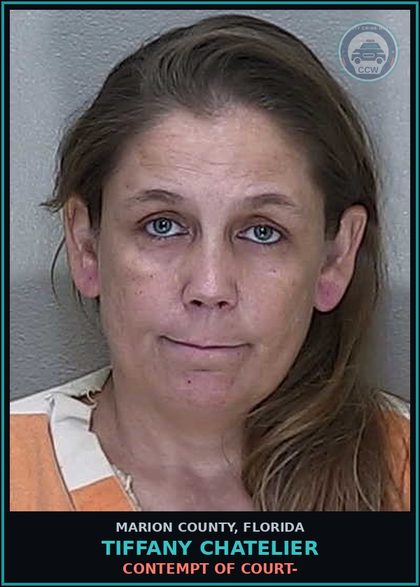 CCW arrest card for TIFFANY CHATELIER in Marion County: CONTEMPT OF COURT-