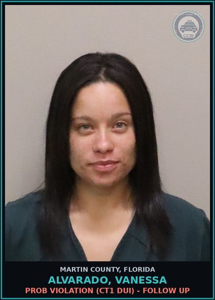CCW arrest card for ALVARADO, VANESSA in Martin County: PROB VIOLATION (CT1 DUI) - Follow up