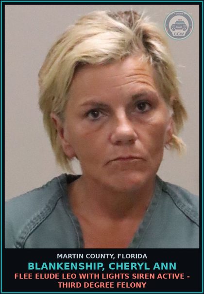 CCW arrest card for BLANKENSHIP, CHERYL ANN in Martin County: DUI INFLUENCE OF ALCOHOL OR DRUGS - Second Degree Misdemeanor
