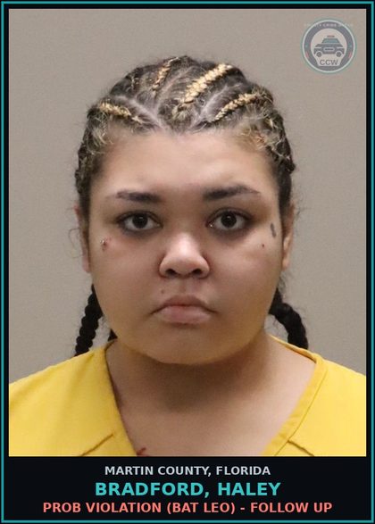 CCW arrest card for Bradford, Haley in Martin County: PROB VIOLATION (BAT LEO) - Follow up