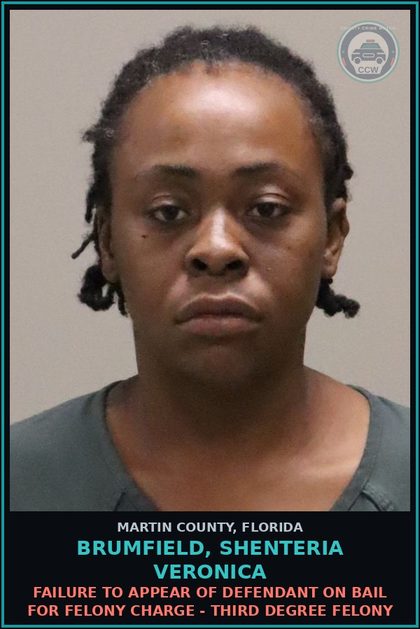 CCW arrest card for BRUMFIELD, SHENTERIA VERONICA in Martin County: FAILURE TO APPEAR OF DEFENDANT ON BAIL FOR FELONY CHARGE - Third Degree Felony