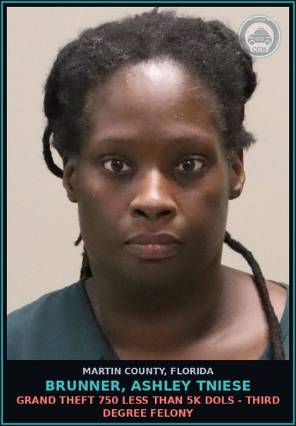 CCW arrest card for BRUNNER, ASHLEY TNIESE in Martin County: OBTAIN GOODS SERVICES 150 DOLS OR MORE - Third Degree Felony