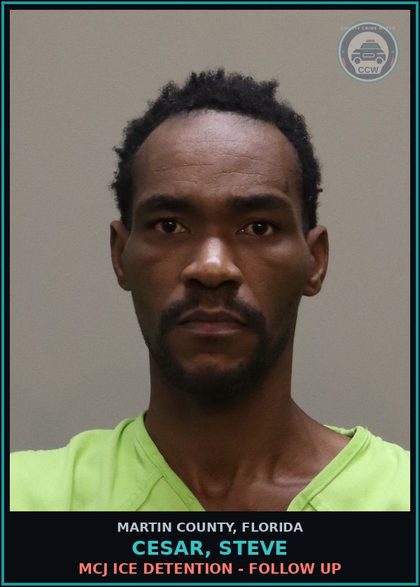 CCW arrest card for CESAR, STEVE in Martin County: MCJ ICE DETENTION - Follow up