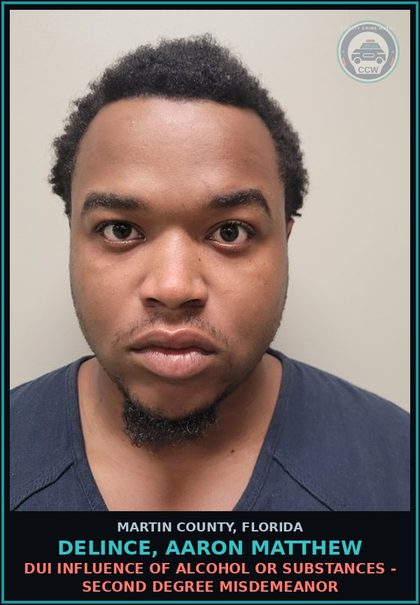 CCW arrest card for DELINCE, AARON MATTHEW in Martin County: DUI INFLUENCE OF ALCOHOL OR DRUGS - Second Degree Misdemeanor