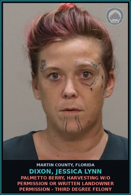 CCW arrest card for DIXON, JESSICA LYNN in Martin County: Palmetto Berry, Harvesting w/o permission or written landowner permission - Third Degree Felony
