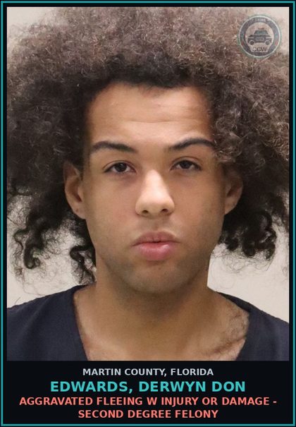 CCW arrest card for EDWARDS, DERWYN DON in Martin County: PETIT THEFT 1ST DEGREE 100 MORE LT 750 DOLS - First Degree Misdemeanor
