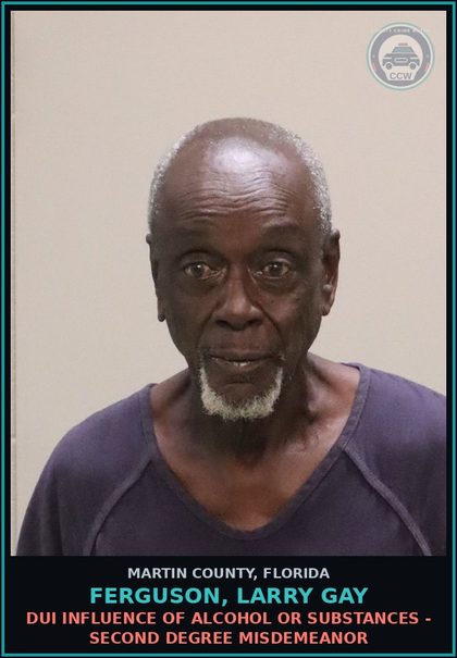 CCW arrest card for FERGUSON, LARRY GAY in Martin County: DUI INFLUENCE OF ALCOHOL OR DRUGS - Second Degree Misdemeanor