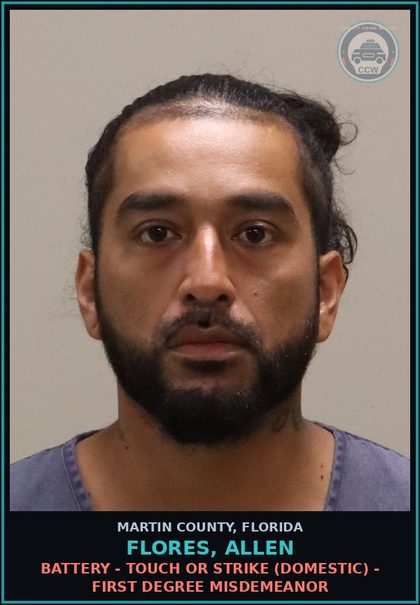 CCW arrest card for FLORES, ALLEN in Martin County: BATTERY - TOUCH OR STRIKE (DOMESTIC) - First Degree Misdemeanor