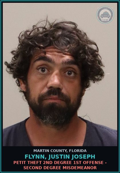 CCW arrest card for FLYNN, JUSTIN JOSEPH in Martin County: PETIT THEFT 2ND DEGREE 1ST OFFENSE - Second Degree Misdemeanor