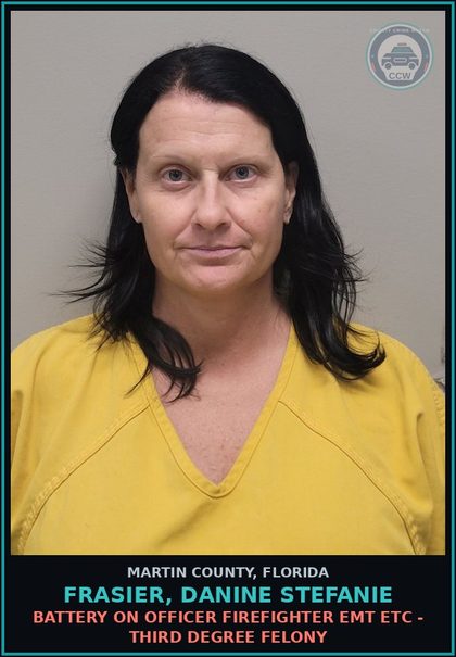 CCW arrest card for FRASIER, DANINE STEFANIE in Martin County: DUI - First Degree Misdemeanor