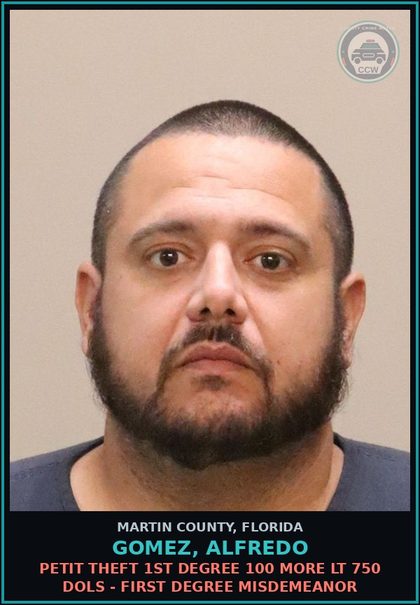 CCW arrest card for GOMEZ, ALFREDO in Martin County: PETIT THEFT 1ST DEGREE 100 MORE LT 750 DOLS - First Degree Misdemeanor
