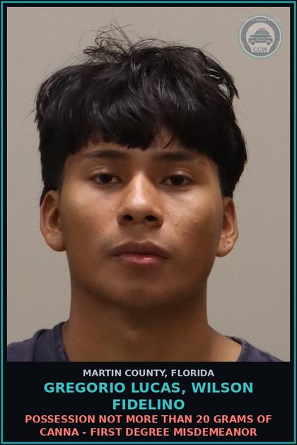 CCW arrest card for GREGORIO LUCAS, WILSON FIDELINO in Martin County: OPERATE MOTOR VEHICLE WO VALID LICENSE - Second Degree Misdemeanor
