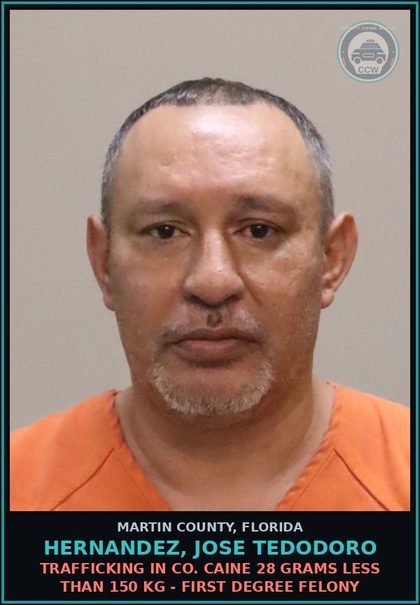 CCW arrest card for Hernandez, Jose Tedodoro in Martin County: TRAFFICKING IN COCAINE 28 GRAMS LESS THAN 150 KG - First Degree Felony