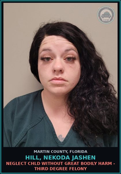CCW arrest card for HILL, NEKODA JASHEN in Martin County: NEGLECT chld WITHOUT GREAT BODILY HARM - Third Degree Felony