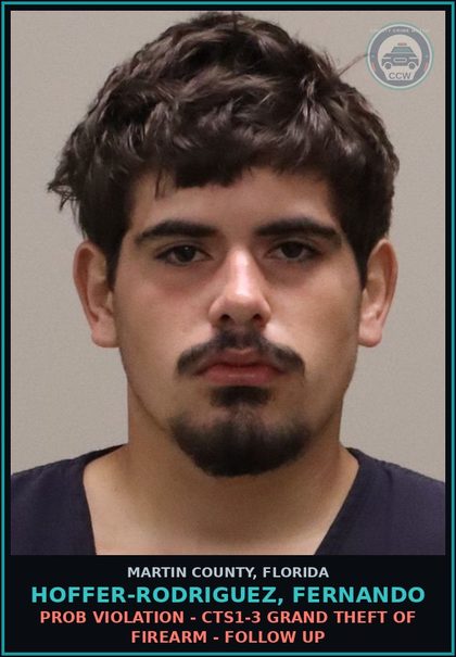 CCW arrest card for HOFFER-RODRIGUEZ, FERNANDO in Martin County: PROB VIOLATION - CTS1-3 GRAND THEFT OF FIREARM - Follow up