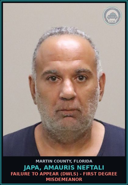 CCW arrest card for JAPA, AMAURIS NEFTALI in Martin County: FAILURE TO APPEAR (DWLS) - First Degree Misdemeanor