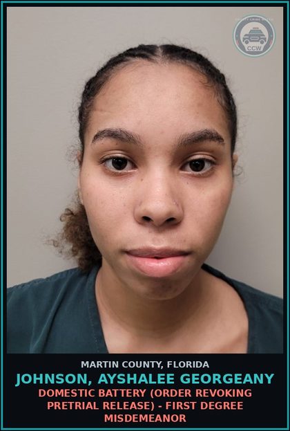 CCW arrest card for JOHNSON, AYSHALEE GEORGEANY in Martin County: DOMESTIC BATTERY (ORDER REVOKING PRETRIAL RELEASE) - First Degree Misdemeanor