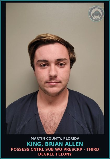 CCW arrest card for KING, BRIAN ALLEN in Martin County: LEAVE SCENE OF CRASH INVOLVE DMG TO PROP - Second Degree Misdemeanor