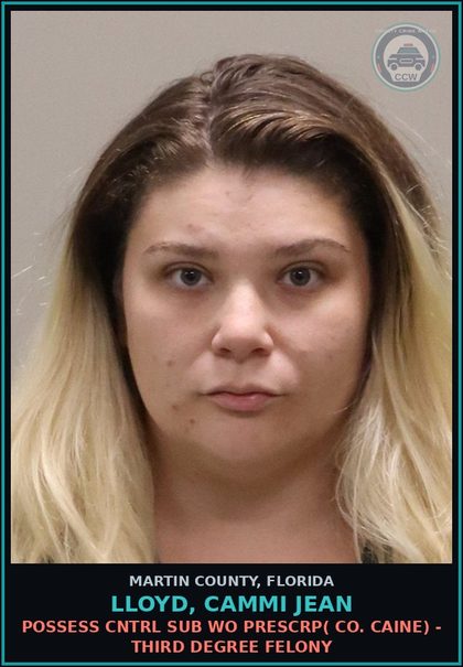 CCW arrest card for LLOYD, CAMMI JEAN in Martin County: POSSESS CNTRL SUB WO PRESCRIPTION( COCAINE) - Third Degree Felony