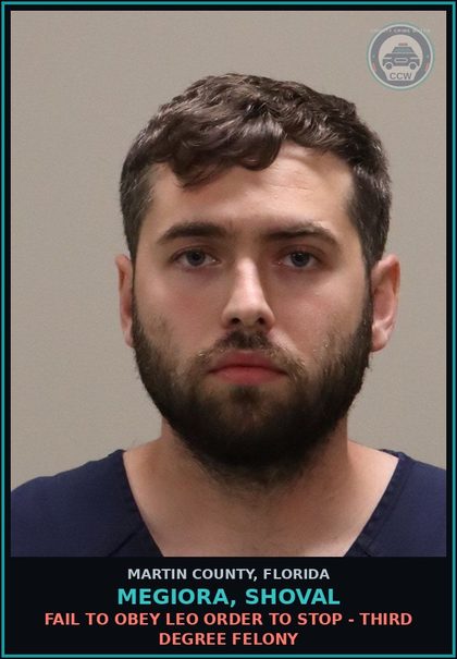 CCW arrest card for Megiora, Shoval in Martin County: FAIL TO OBEY LEO ORDER TO STOP - Third Degree Felony