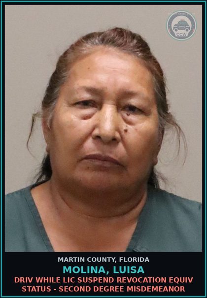 CCW arrest card for MOLINA, LUISA in Martin County: DRIV WHILE LIC SUSPEND REVOCATION EQUIV STATUS - Second Degree Misdemeanor