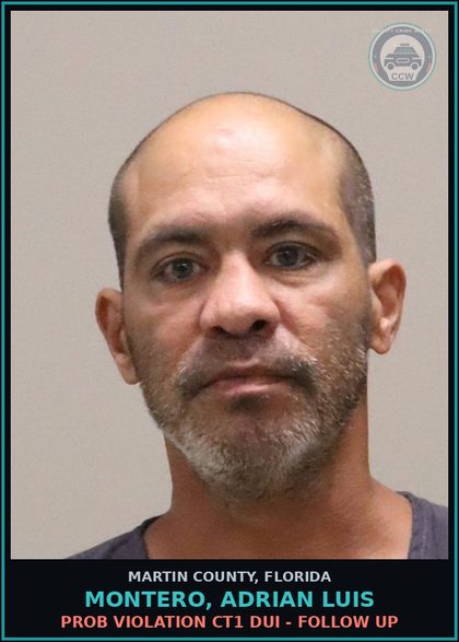 CCW arrest card for MONTERO, ADRIAN LUIS in Martin County: DWLSR OR REVOCATION EQUIV STATUS SUBSQ OFF (ORDER REVOKING PRETRIAL RELEASE) - First Degree Misdemeanor