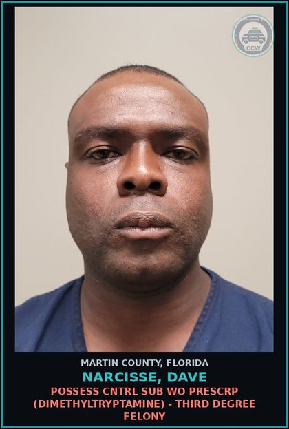 CCW arrest card for NARCISSE, DAVE in Martin County: POSSESS CNTRL SUB WO PRESCRIPTION (DIMETHYLTRYPTAMINE) - Third Degree Felony