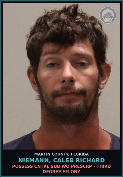 CCW arrest card for NIEMANN, CALEB RICHARD in Martin County: POSSESS CNTRL SUB WO PRESCRIPTION - Third Degree Felony