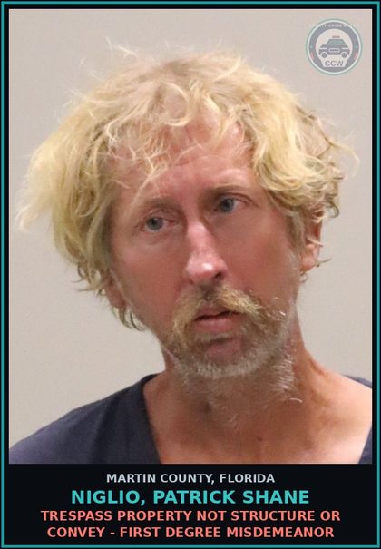 CCW arrest card for NIGLIO, PATRICK SHANE in Martin County: TRESPASS PROPERTY NOT STRUCTURE OR CONVEY - First Degree Misdemeanor