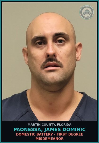 CCW arrest card for Paonessa, JAMES Dominic in Martin County: DOMESTIC BATTERY - First Degree Misdemeanor