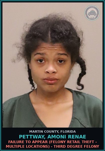 CCW arrest card for PETTWAY, AMONI RENAE in Martin County: FAILURE TO APPEAR (FELONY RETAIL THEFT - MULTIPLE LOCATIONS) - Third Degree Felony