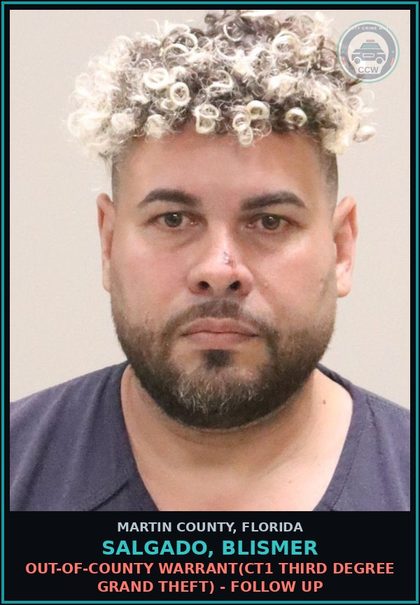 CCW arrest card for SALGADO, BLISMER in Martin County: OUT-OF-COUNTY WARRANT(CT1 THIRD DEGREE GRAND THEFT) - Follow up