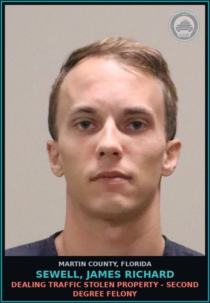 CCW arrest card for SEWELL, JAMES RICHARD in Martin County: GRAND THEFT 750 LESS THAN 5K DOLS - Third Degree Felony