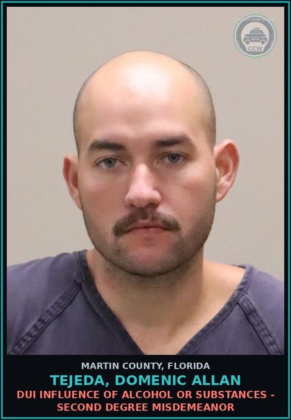 CCW arrest card for TEJEDA, DOMENIC ALLAN in Martin County: DUI INFLUENCE OF ALCOHOL OR DRUGS - Second Degree Misdemeanor