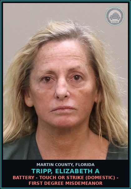 CCW arrest card for TRIPP, ELIZABETH A in Martin County: BATTERY - TOUCH OR STRIKE (DOMESTIC) - First Degree Misdemeanor