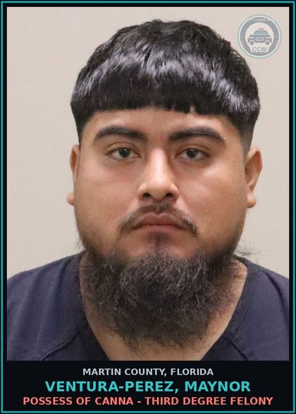 CCW arrest card for VENTURA-PEREZ, MAYNOR in Martin County: POSSESS OF Canna - Third Degree Felony